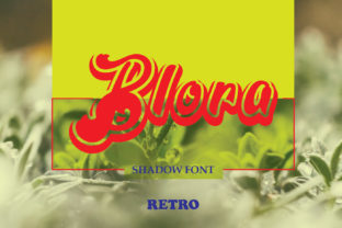 Blora Typeface: A Retro Display Font for 70s-Themed Campaigns