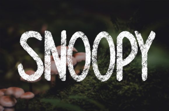 Snoopy Display Font for Crafty Branding and Stationery